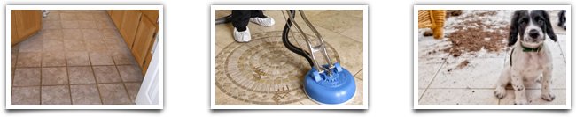 Tile Grout Cleaners